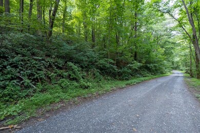 0 Friendly Ln unit 624782, Stanley, VA 22851 - photo 7