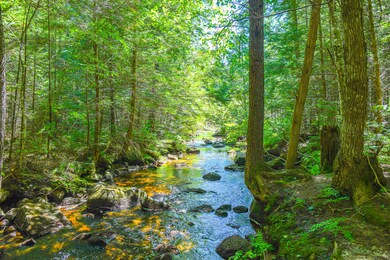 193 N Bridgton Rd, Bridgton, ME 04009 - photo 4