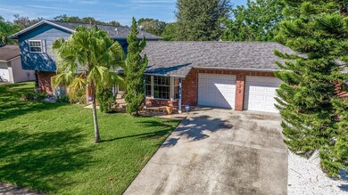 7112 Pat Blvd, Tampa, FL 33615 - photo 3