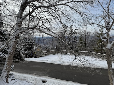 361 N Westridge Rd, Snowshoe, WV 24934 - photo 7