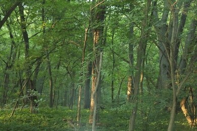 29 Ac Sunrise Rd, Rutland, WI 53575 - photo 4