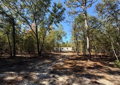 1482 Hebron Rd, Neeses, SC 29107 - photo 4