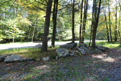 26 Elmwood Ct, Hamlin, PA 18427 - photo 7