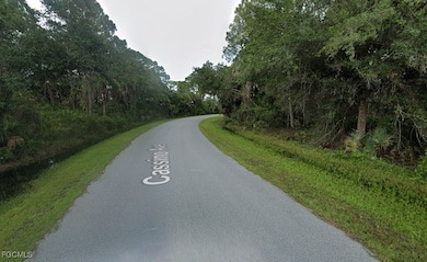 12215 Cassino Ave, Port Charlotte, FL 33953 - photo 5