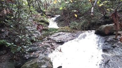 0 Hardin Store Rd unit 3694748, Rutherfordton, NC 28139 - photo 2