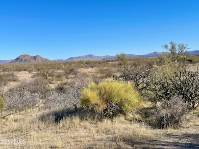 27003 N 134th St, Scottsdale, AZ 85259 - photo 7