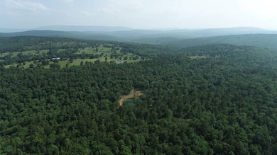 4, Wister, OK 74966 - photo 6