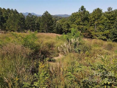 999999 Alexander Rd, Leicester, NC 28748 - photo 3