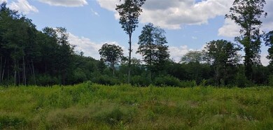 00 Deer Run Ln unit 9, Walpole, NH 03608 - photo 2