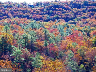 30 The Hill Rd unit L-30, Basye, VA 22810 - photo 6