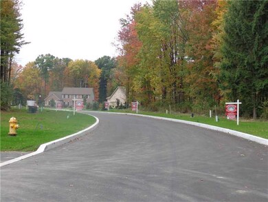 Other. Alexander Crossing