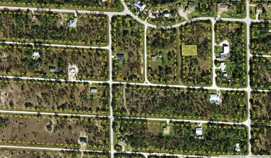 13044 Crinoline, Punta Gorda, FL 33955 - photo 2