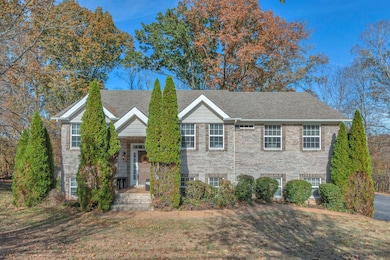 529 Katelyn Dr S, Spring Hill, TN 37174 - photo 7