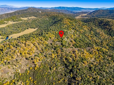 Doane Valley Rd, Palomar Mountain, CA 92060 - photo 3