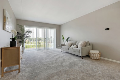 2900 Maple Ave unit 17E, Downers Grove, IL 60515 - photo 4