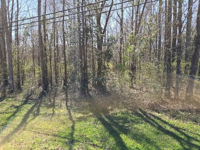 000 Highway 149, Mendenhall, MS 39114 - photo 2