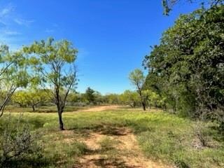63 County Road 129, Brownwood, TX 76801 - photo 3