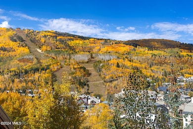 McCoy Peak Lodge 406 MLS-24