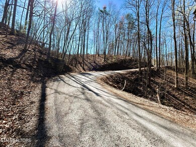 107 Chestnut Mountain Rd, Reliance, TN 37369 - photo 4