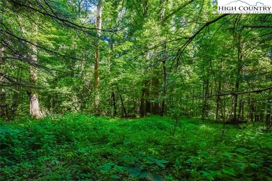 Build your mountain retreat tucked away in a priva
