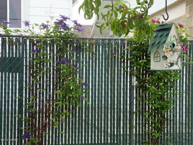Fenced Backyard