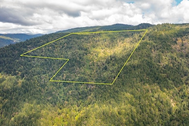 1000 Chappelle Rd, Weitchpec, CA 95546 - photo 3