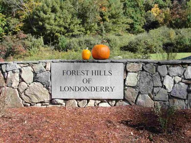 9 St Andrews Way, Londonderry, NH 03053 - photo 4