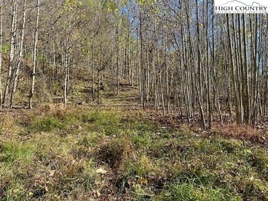 TBD River Front Dr, Jefferson, NC 28604 - photo 7