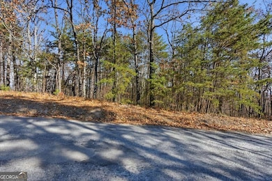 1166 Hunter Dr, Ranger, GA 30734 - photo 2