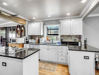 6999 S Columbine Rd, Evergreen, CO 80439 - photo 7