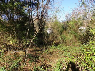 0000 Grafton St, Clifton Forge, VA 24422 - photo 5