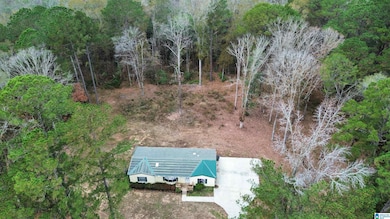 785 Marvin Parker Rd, Ozark, AL 36360 - photo 4