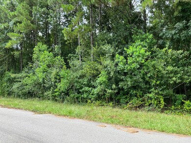 NHN W 4th Ave, Picayune, MS 39466 - photo 2