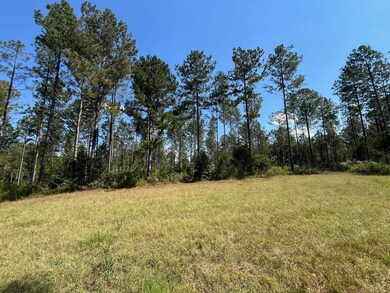 Bethlehem Rd, Equality, AL 36026 - photo 3