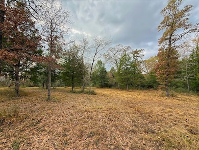 13 ac Highway 75 N, Buffalo, TX 75831 - photo 5