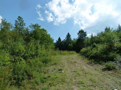 Lot 5A W View Dr, Bridgton, ME 04009 - photo 5