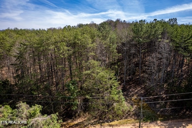 WelchRd,TellicoPlains-1