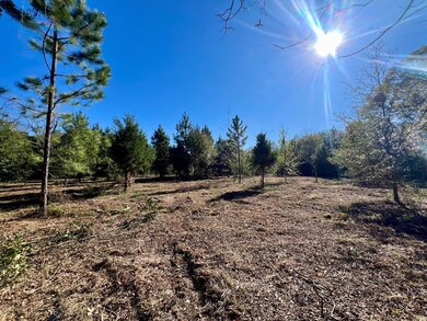 0 Washington Ave, Fitzgerald, GA 31750 - photo 6