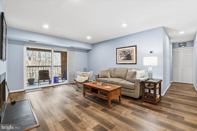 5819 Cove Landing Rd unit 303, Burke, VA 22015 - photo 3