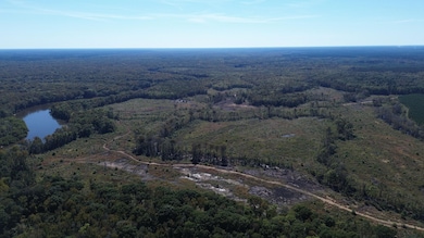 0 Newington Hwy unit 25460796, Sylvania, GA 30467 - photo 4