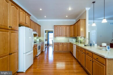 485 Secession Ln, New Market, VA 22844 - photo 3