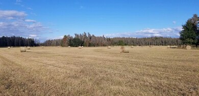 0 Moore Rd unit MFRO6280819, Lakeland, FL 33809 - photo 5