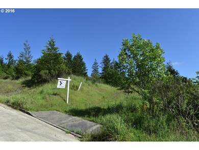 0 Tax Id 1142402 unit 15307318, Myrtle Point, OR 97458 - photo 2