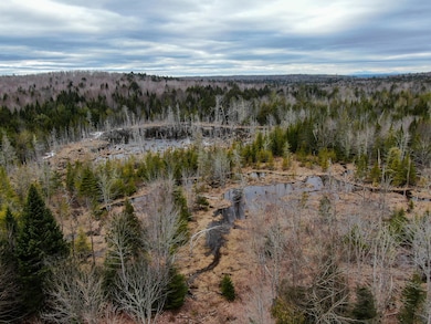 Lot 96 Freedom Way, Prentiss Township T7 R3 Nbpp, ME 04487 - photo 2