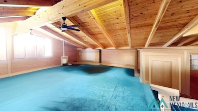 295 Pine Hill Rd, Fence Lake, NM 87315 - photo 5