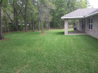 Beautiful Back Yard