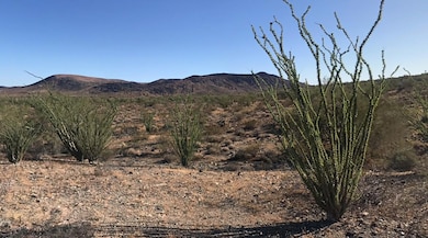 Unnamed Access Dirt Rd, Yucca, AZ 86438 - photo 7