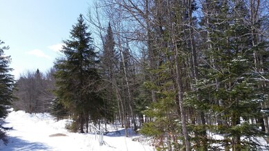 Drive into the 140 acres.jpg