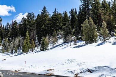 8_Lot-View_1800x1200_3646542