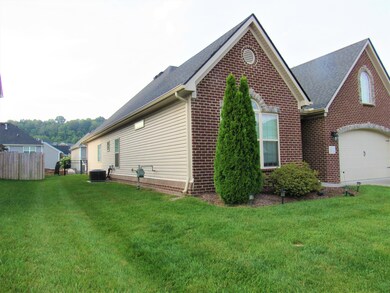 12310 Chirping Bird Ln, Knoxville, TN 37932 - photo 3